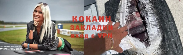 твердый Магас
