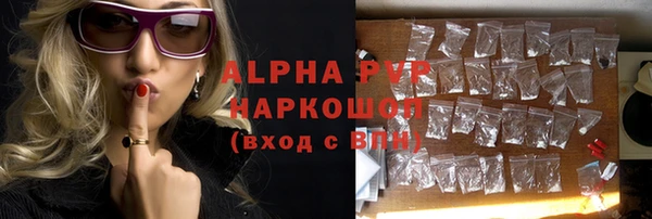 твердый Магас