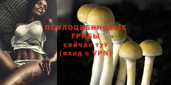MDMA Premium VHQ Магадан
