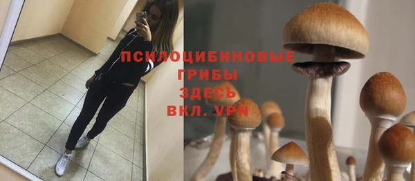 мдпв Майский