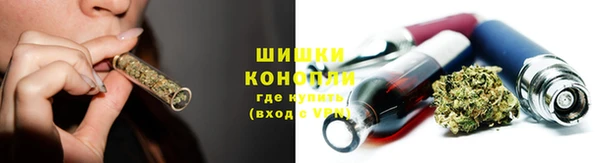твердый Магас