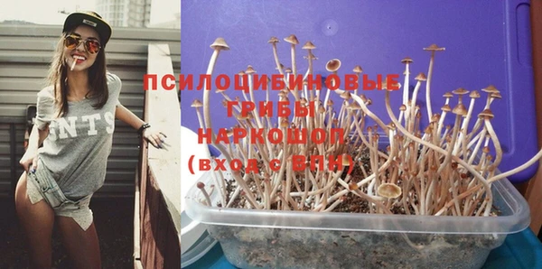 твердый Магас