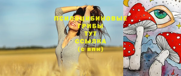 мдпв Майский