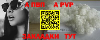 СК Бийск