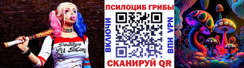 Галлюциногенные грибы Psilocybe  купить   Железногорск 