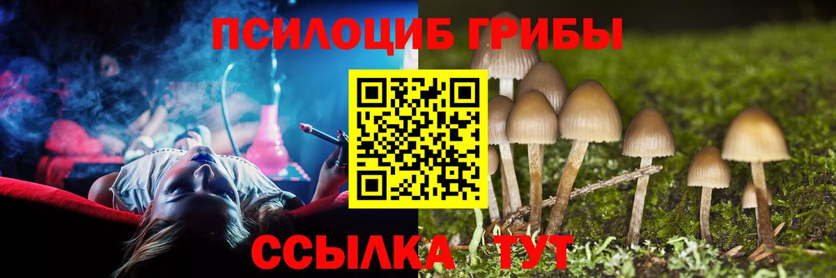 Псилоцибиновые грибы Magic Shrooms  Вход с VPN  Железногорск 