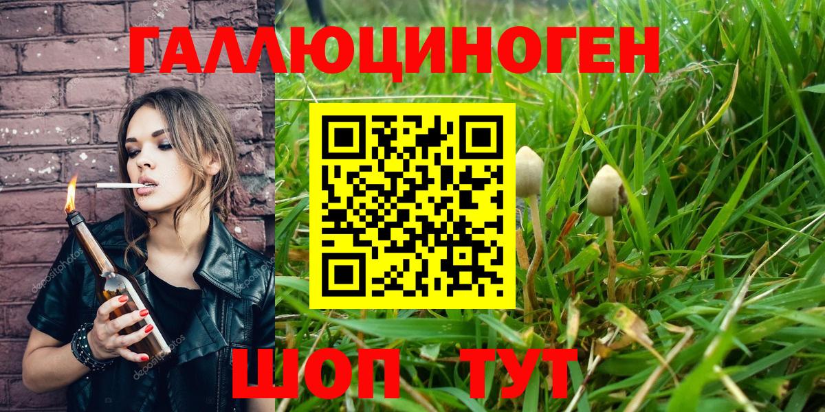 Галлюциногенные грибы Psilocybine cubensis Железногорск