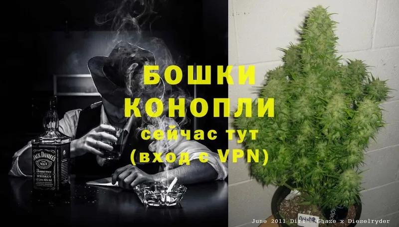 купить  цена  Железногорск  Канабис White Widow 