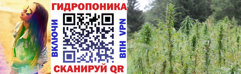 цена наркотик  Железногорск  OMG ссылки  МАРИХУАНА White Widow 